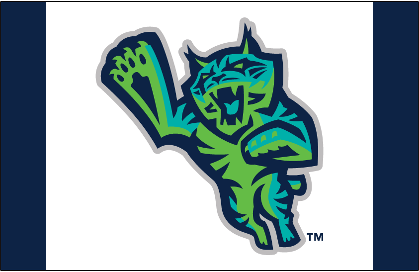 Lynchburg Hillcats 2017-Pres Cap Logo 3 iron on paper